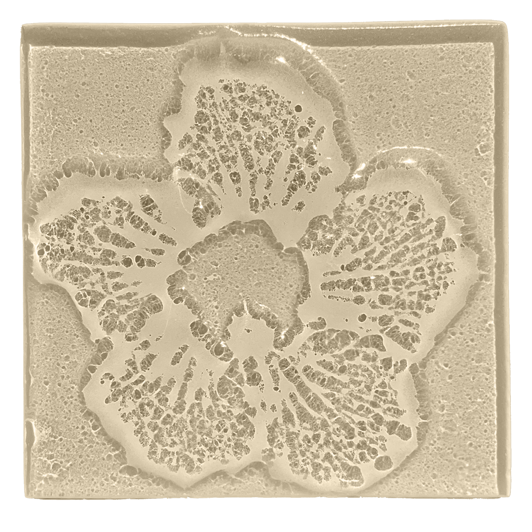 hibiscus-taupe.png