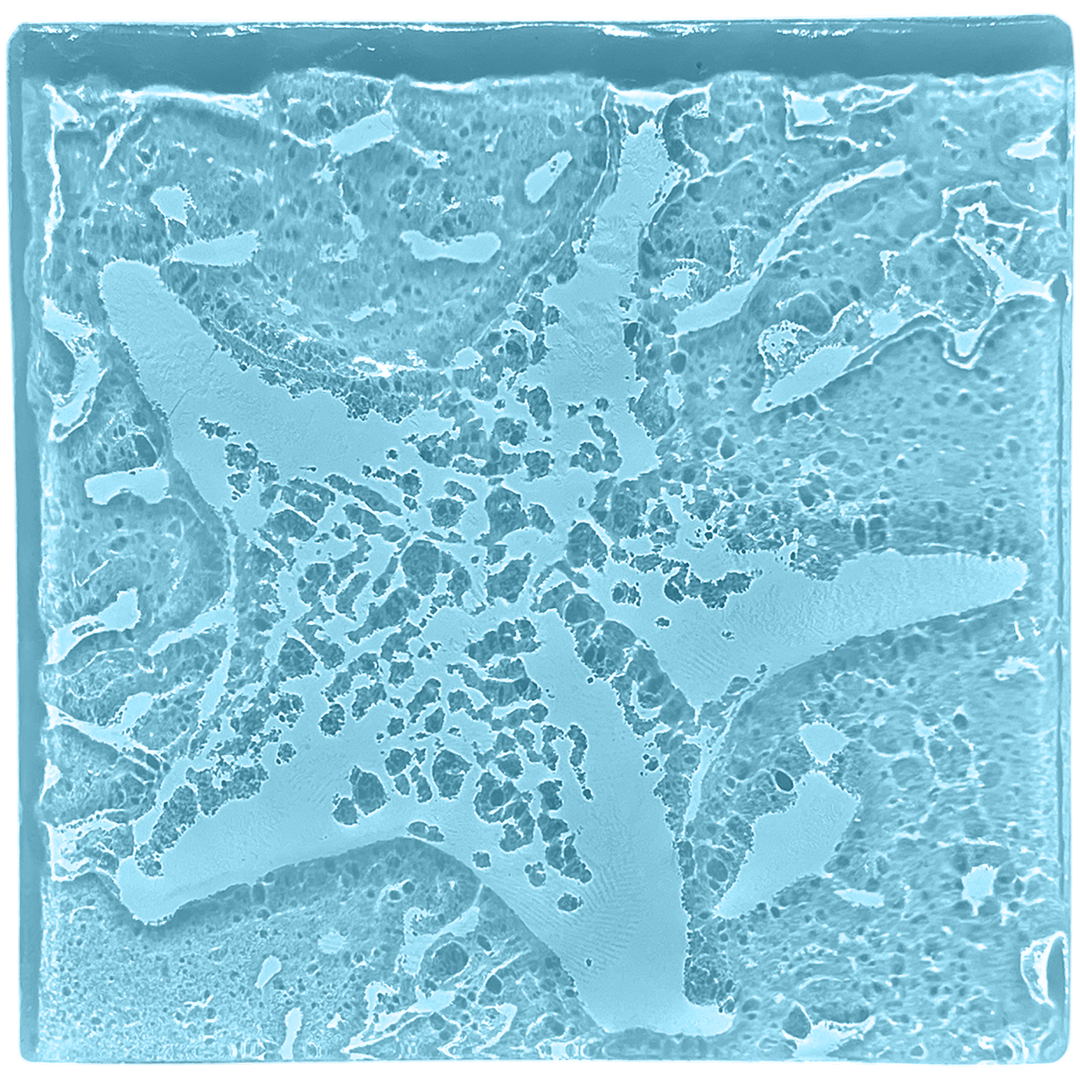 starfish-oceanblue.png