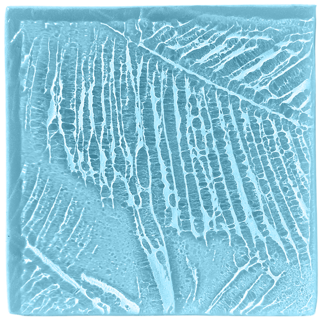palmleaves2-oceanblue.png
