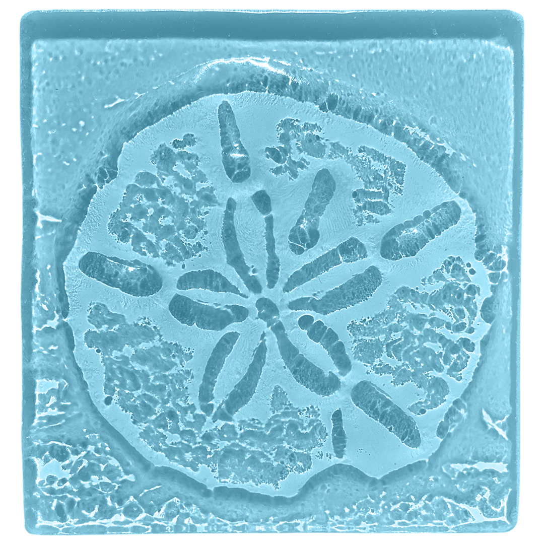 sand-dollar-blue.png