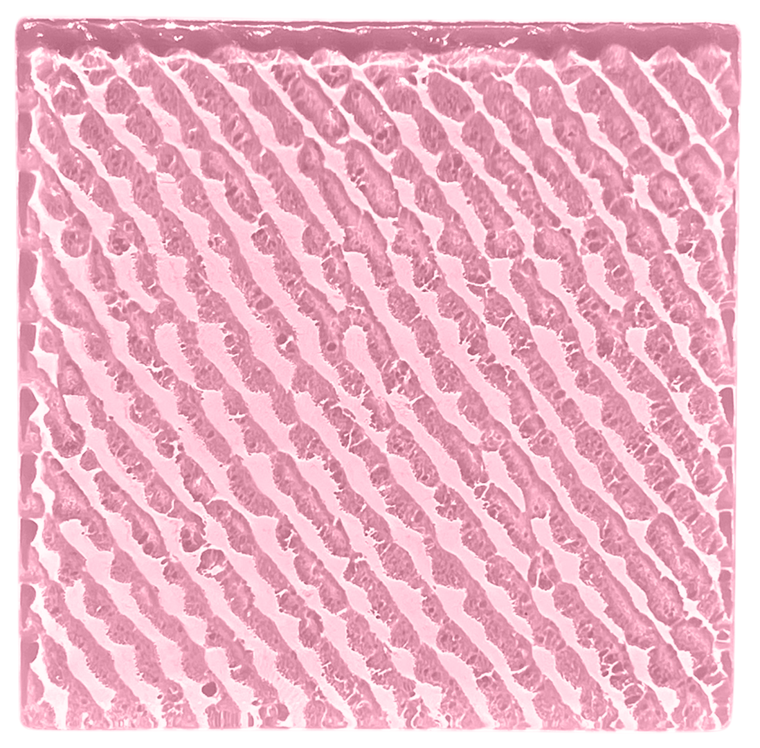 striate-blush.png