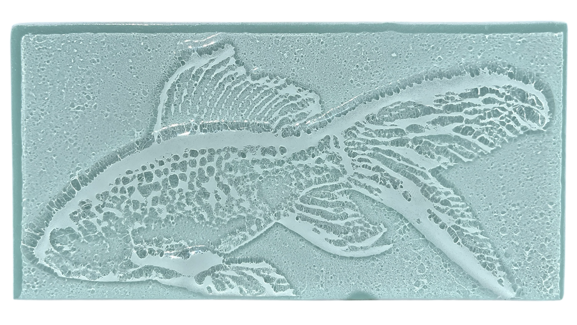 goldfish.png