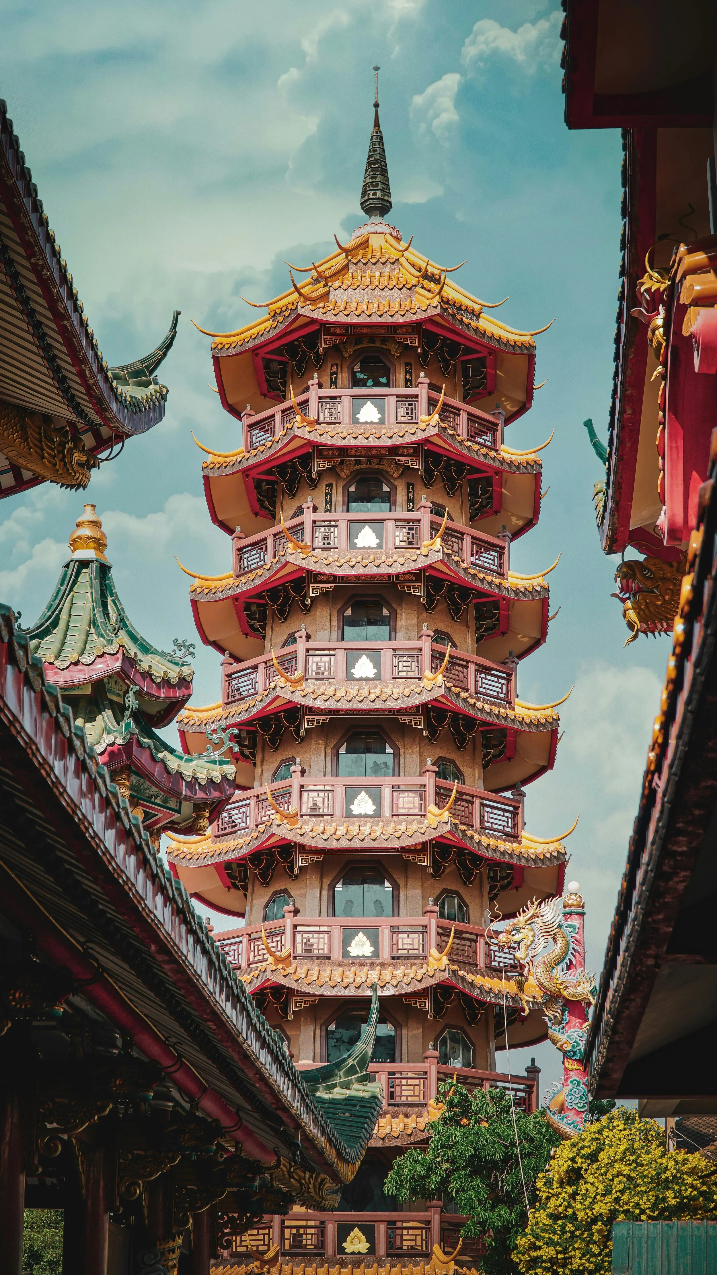 david-gardiner-uUFnAlH1_UU-unsplash.jpg