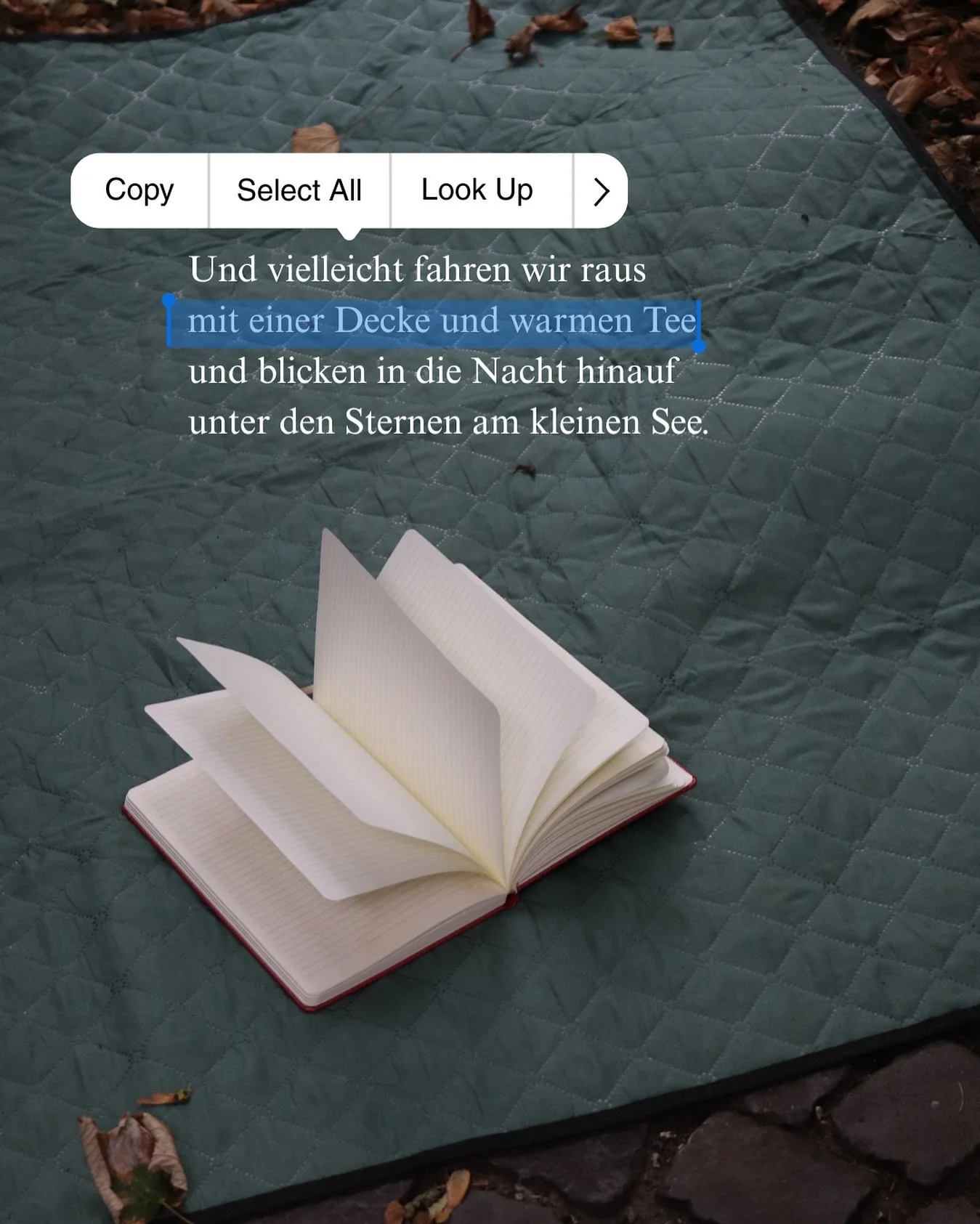An wen denkst du als erstes, wenn du das liest?🍁☕️

#herbstgedicht #september