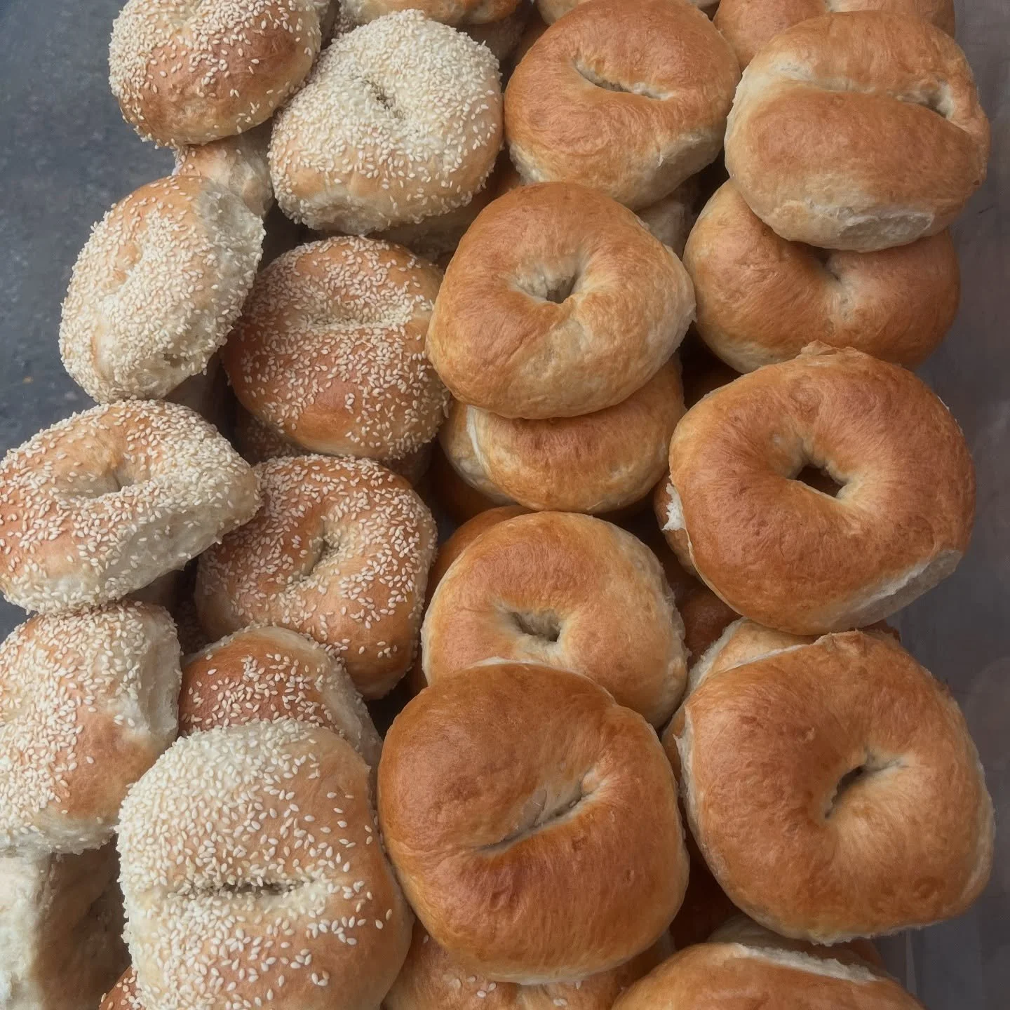 Hi guys! Make sure to come get bagels this week as next week we will NOT be at La Camionnette, the Saturday market, or the following Tuesday market. Come find us around town! We don&rsquo;t have Jalape&ntilde;o Asiago this week, just regular Asiago. 