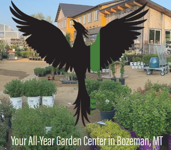 White Barn Vintage Market At The Garden Center!