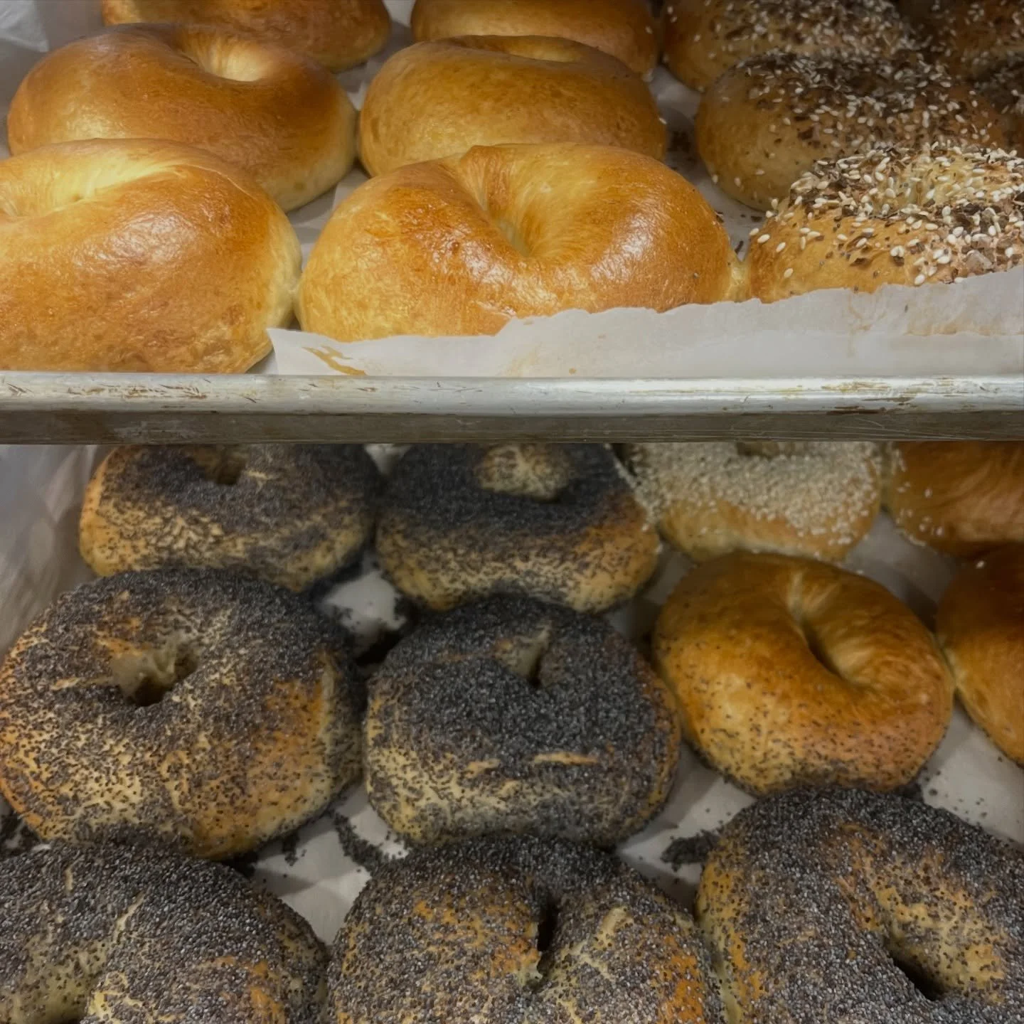 Bagel people! @bozemanwintermarket TOMORROW! 9-12 at the Fairgrounds. Stop by on your way up to the mountain to enjoy some fresh snow, or just swing by for breakfast and some fabulous local goods from some of our favorite local friends. Want to pre o