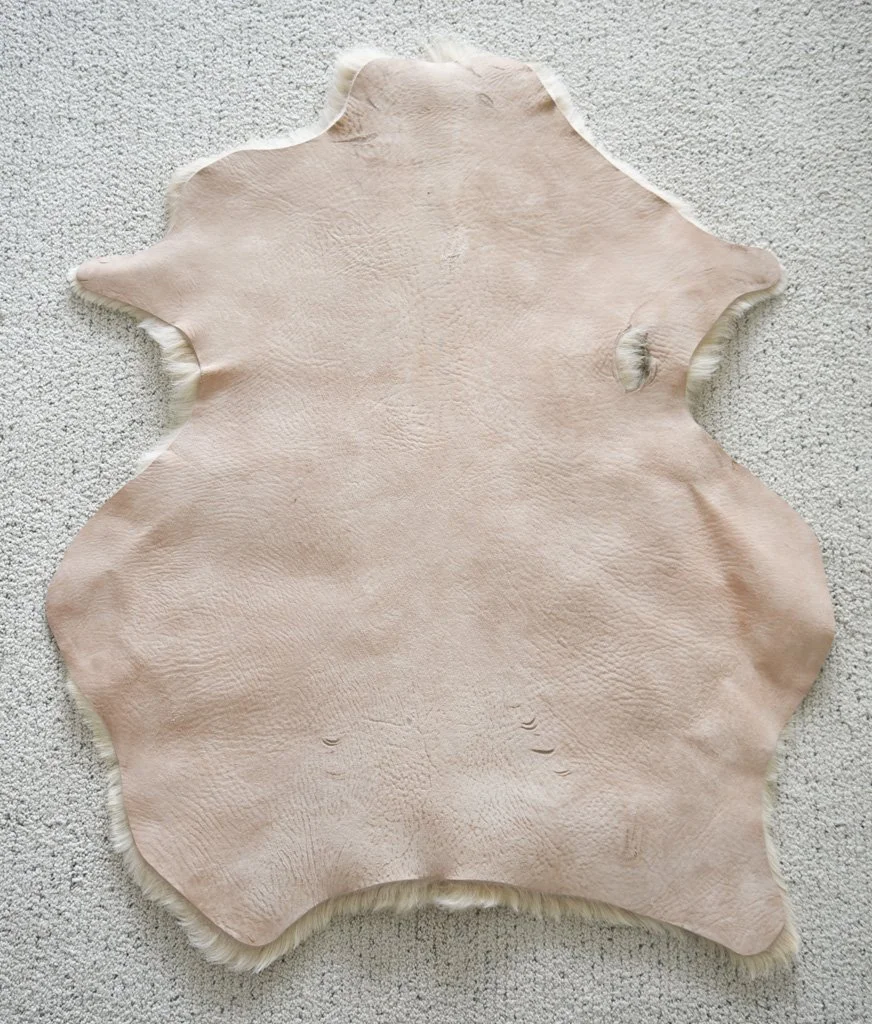 BB-2026-6-XL-Back.jpg