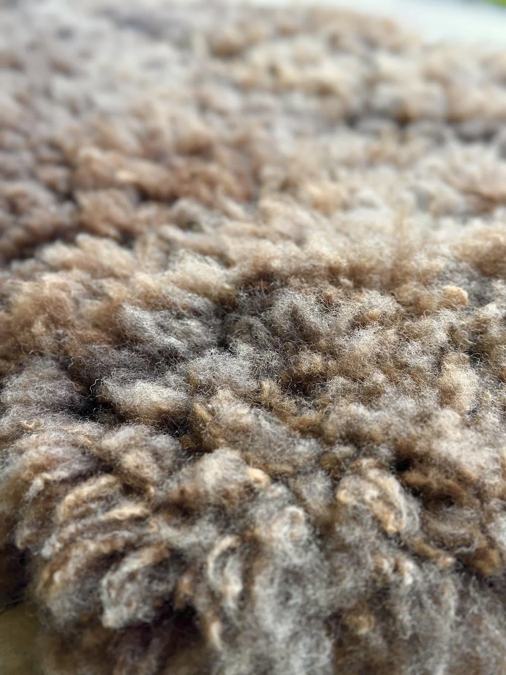 Sheepskin XXL Deep Fleece - Naturally Tanned, Regeneratively Raised in Vermont