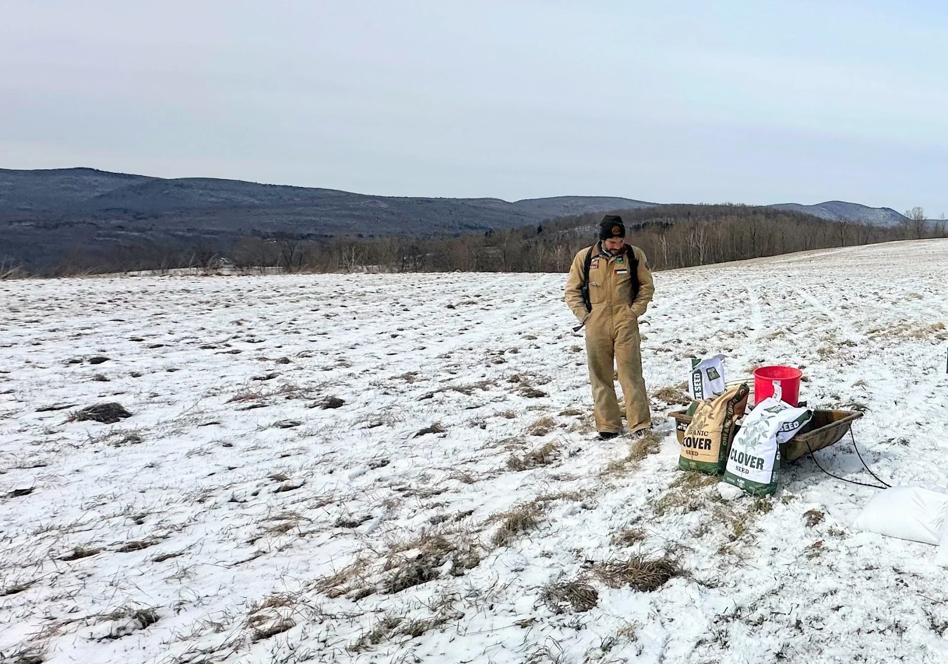 Approaches to Pasture Re-seeding: Fast &amp; Slow