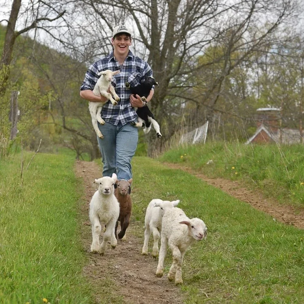 Katahdin Lambing Season