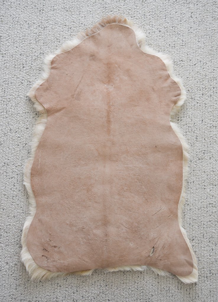 BB-2026-4-MD-Back.jpg