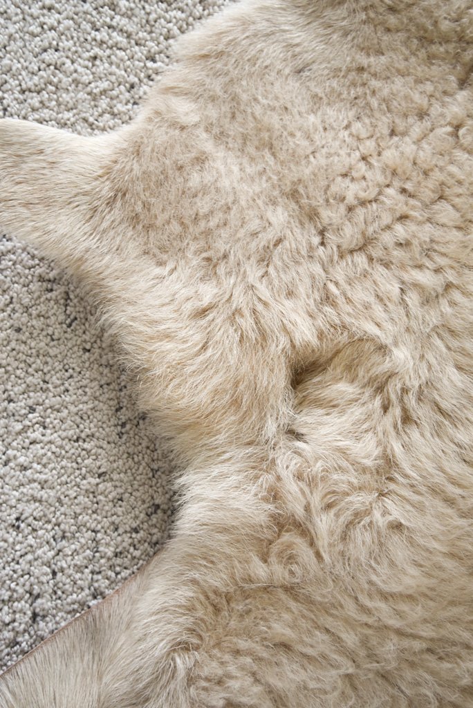 BB-2026-6-XL-Detail 2.jpg