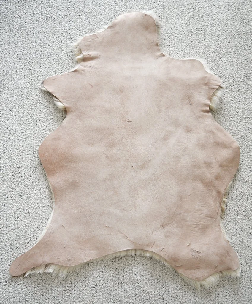 BB-2026-7-XL-Back.jpg
