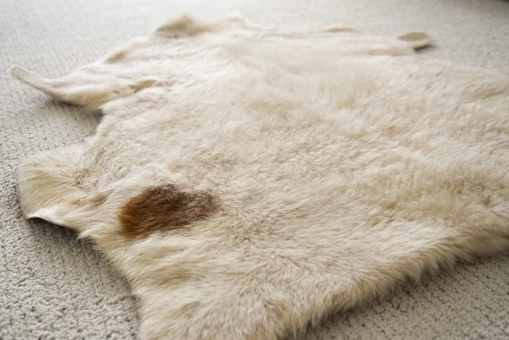 BB-2026-6-XL-Detail.jpg