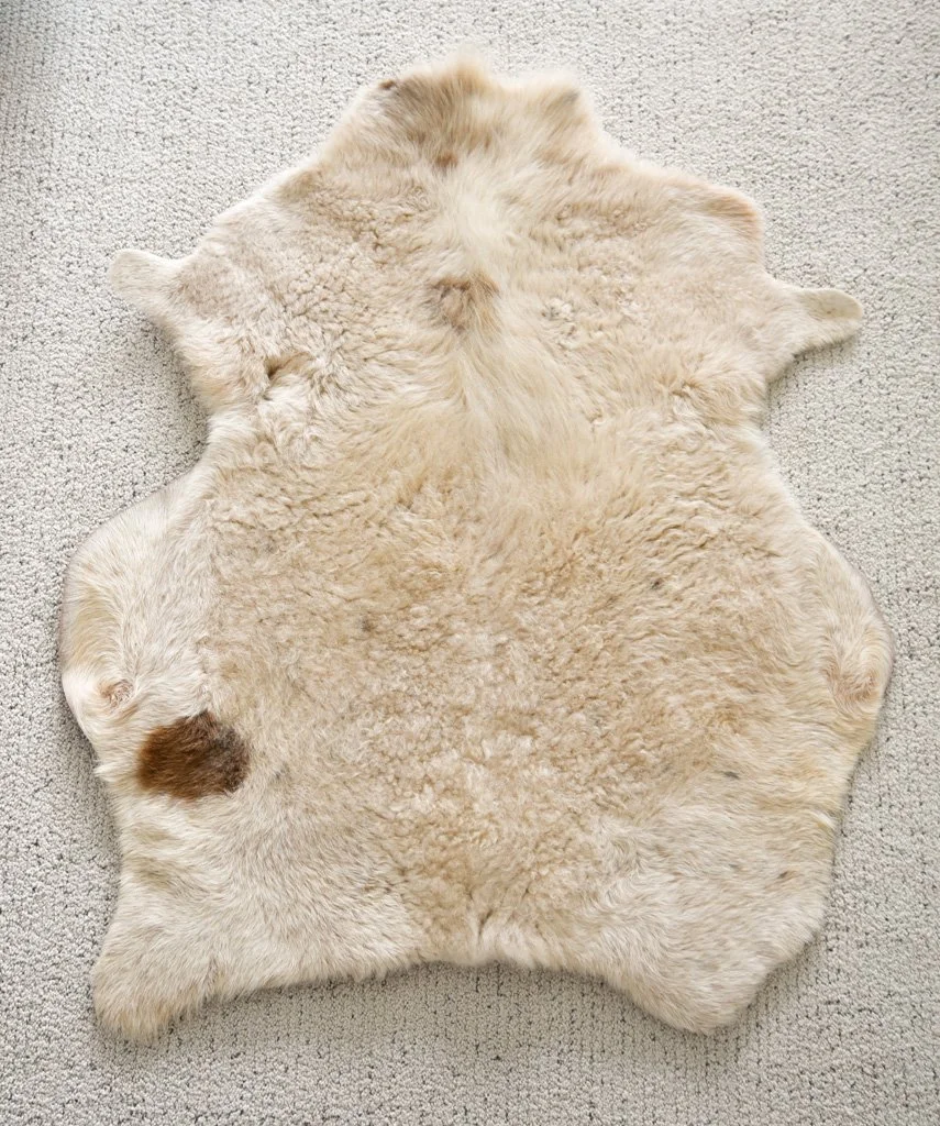 BB-2026-6-XL-Front.jpg