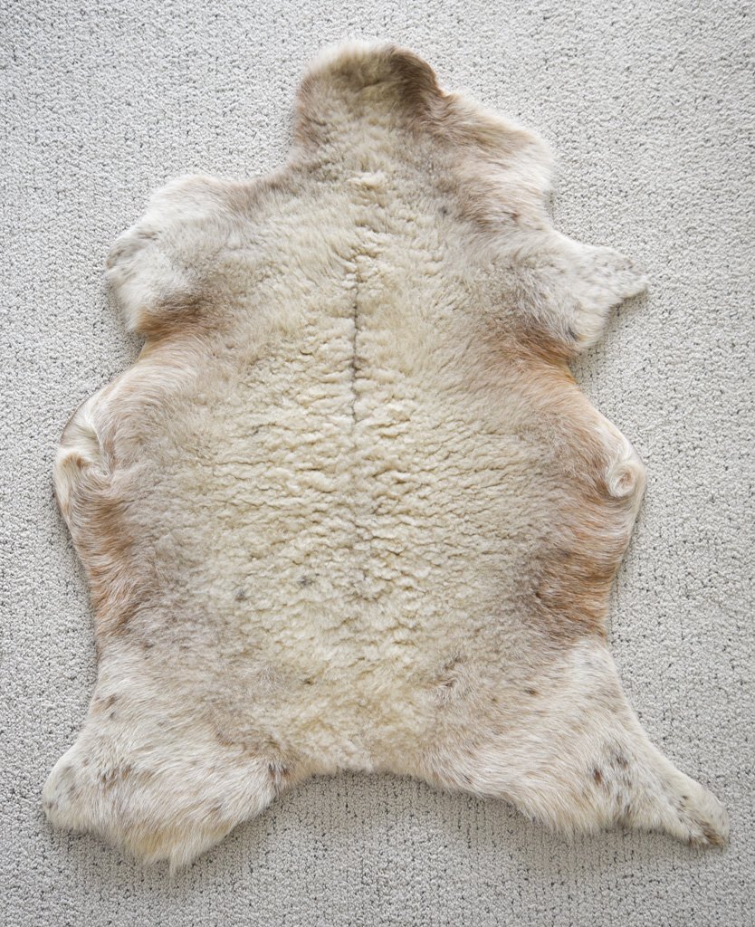 BB-2026-7-XL-Front.jpg