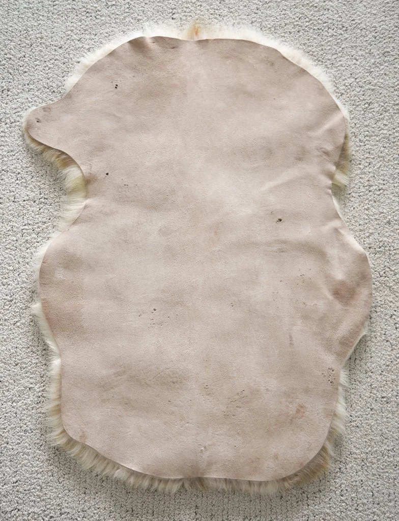 BB-2026-9-MD-Back.jpg