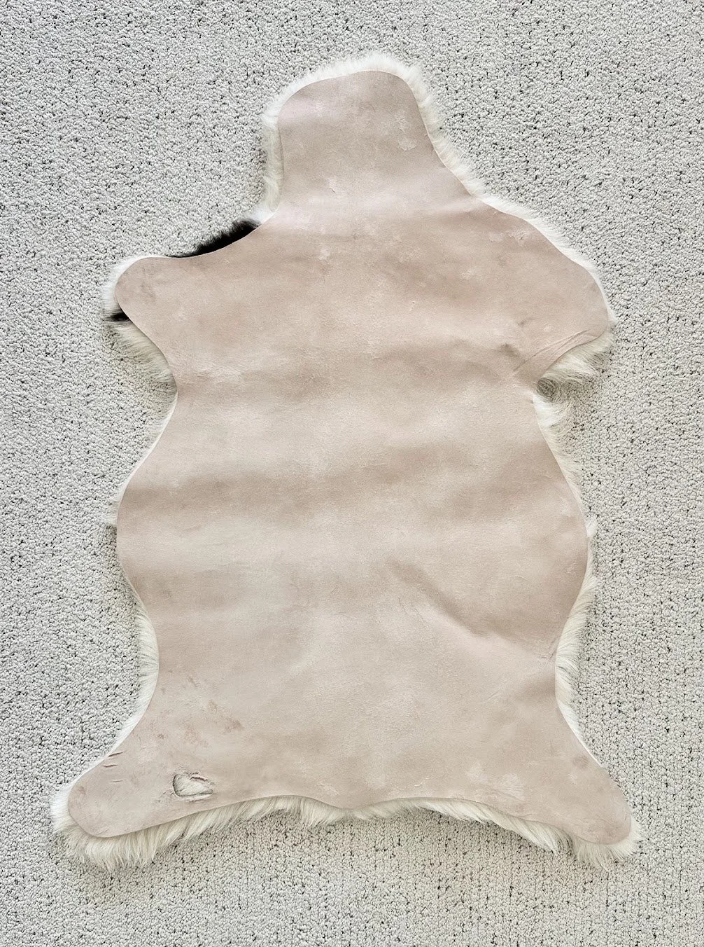 BB-2026-1-MD-Back.jpg