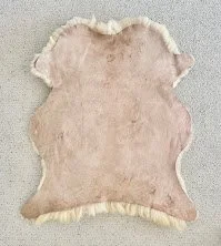 BB-2026-3-XL-Back.jpg