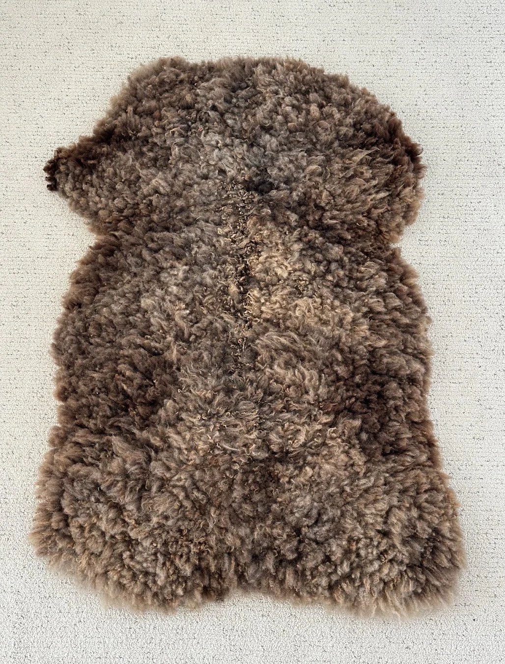 BB-2026-MISC-1 .jpg