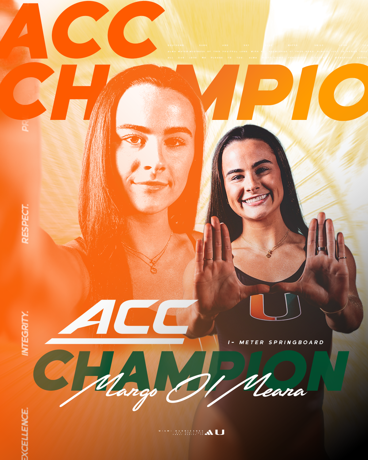 Champion - 1 meter.png