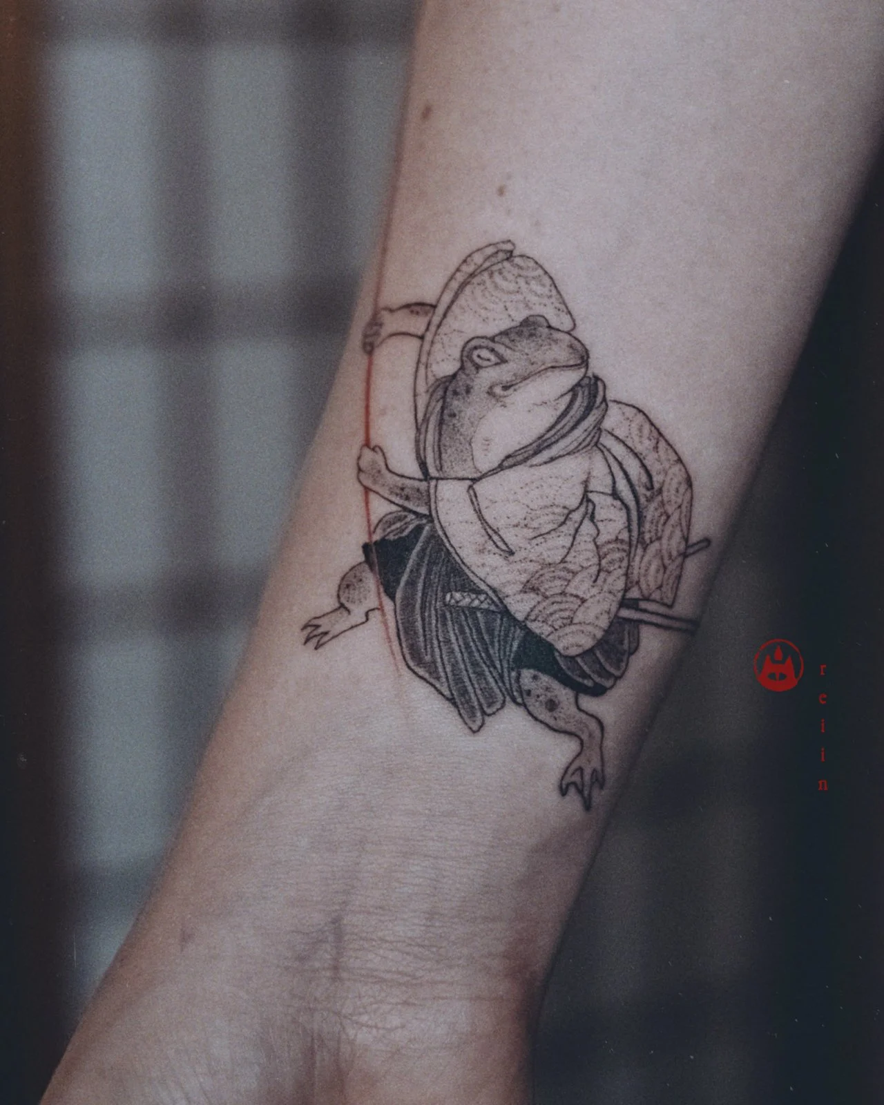 frog.jpg