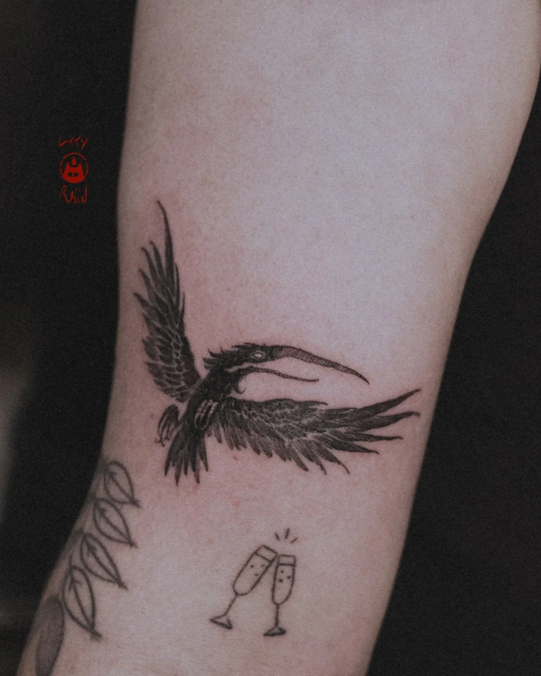 raven.jpg