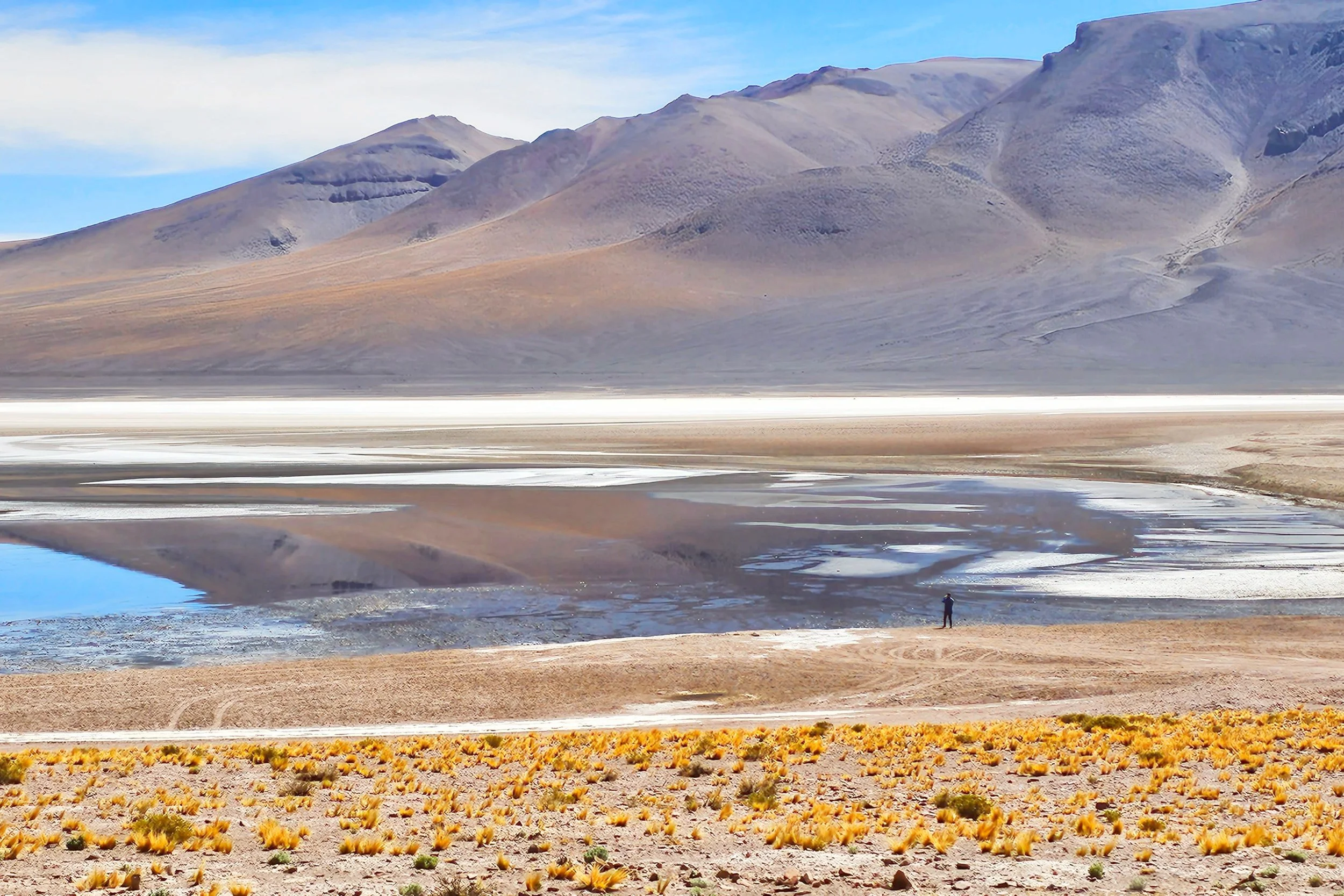 Solo person walking near the shoreline of a salt lake surrounded by desert plains and mountains in the distance.