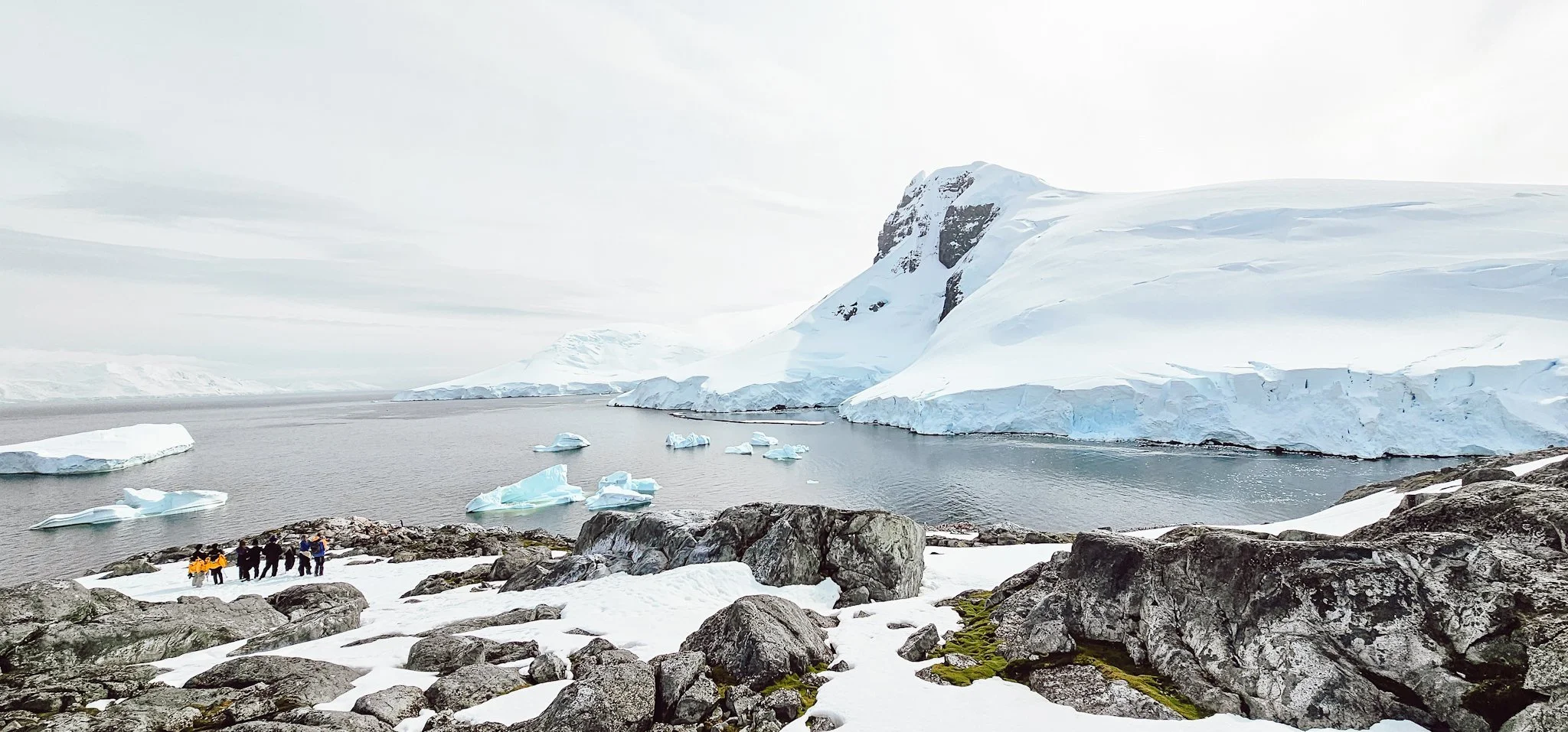 Group of people standing on the shore of antarctica looking out on to a bay with icebergs. penguins can be seen in the distance.