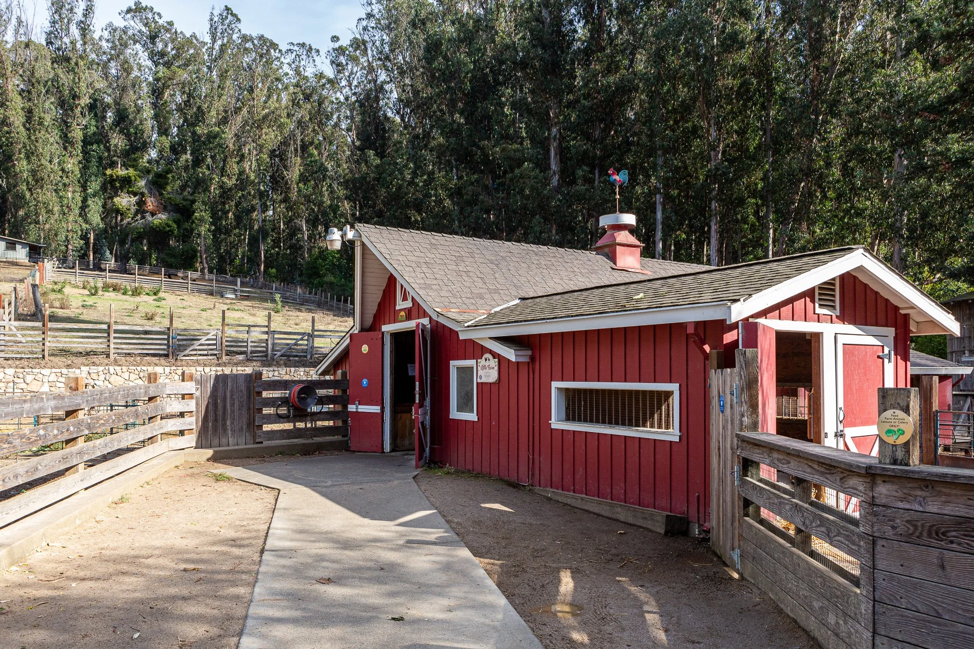 Red barn with open doors at a farm, surrounded by a dirt and concrete path, wooden fences, and tall trees in the background.