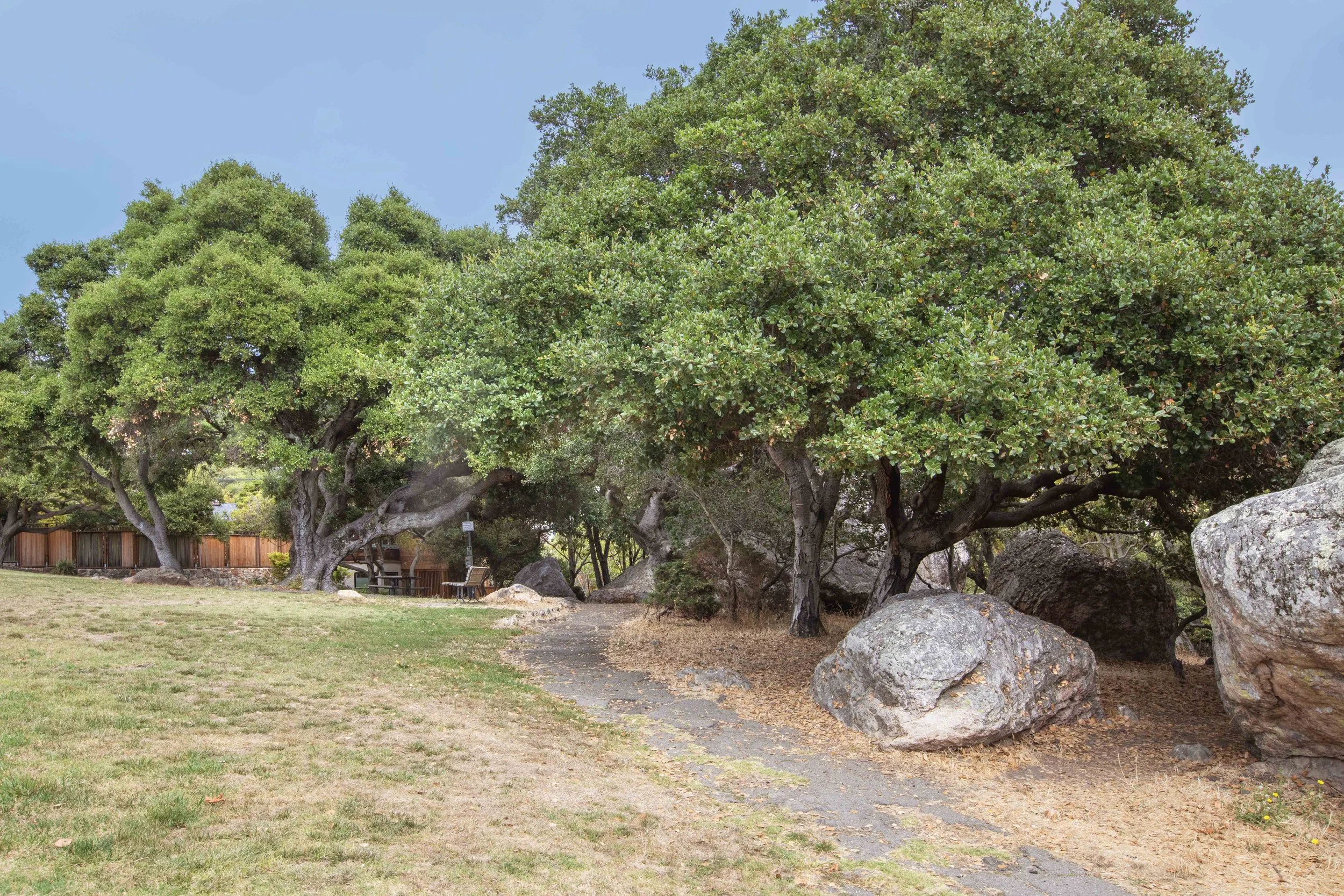park scene with large trees, rocks, a dirt path, benches, and a wooden fence in the background.