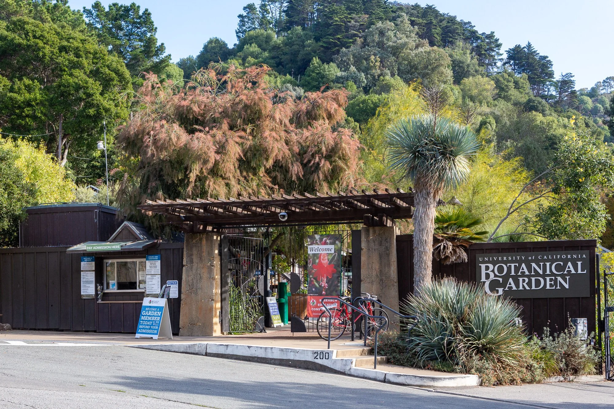 Entrance to the University of California Botanical Garden with a sign, a gate, trees, and plants in the foreground.