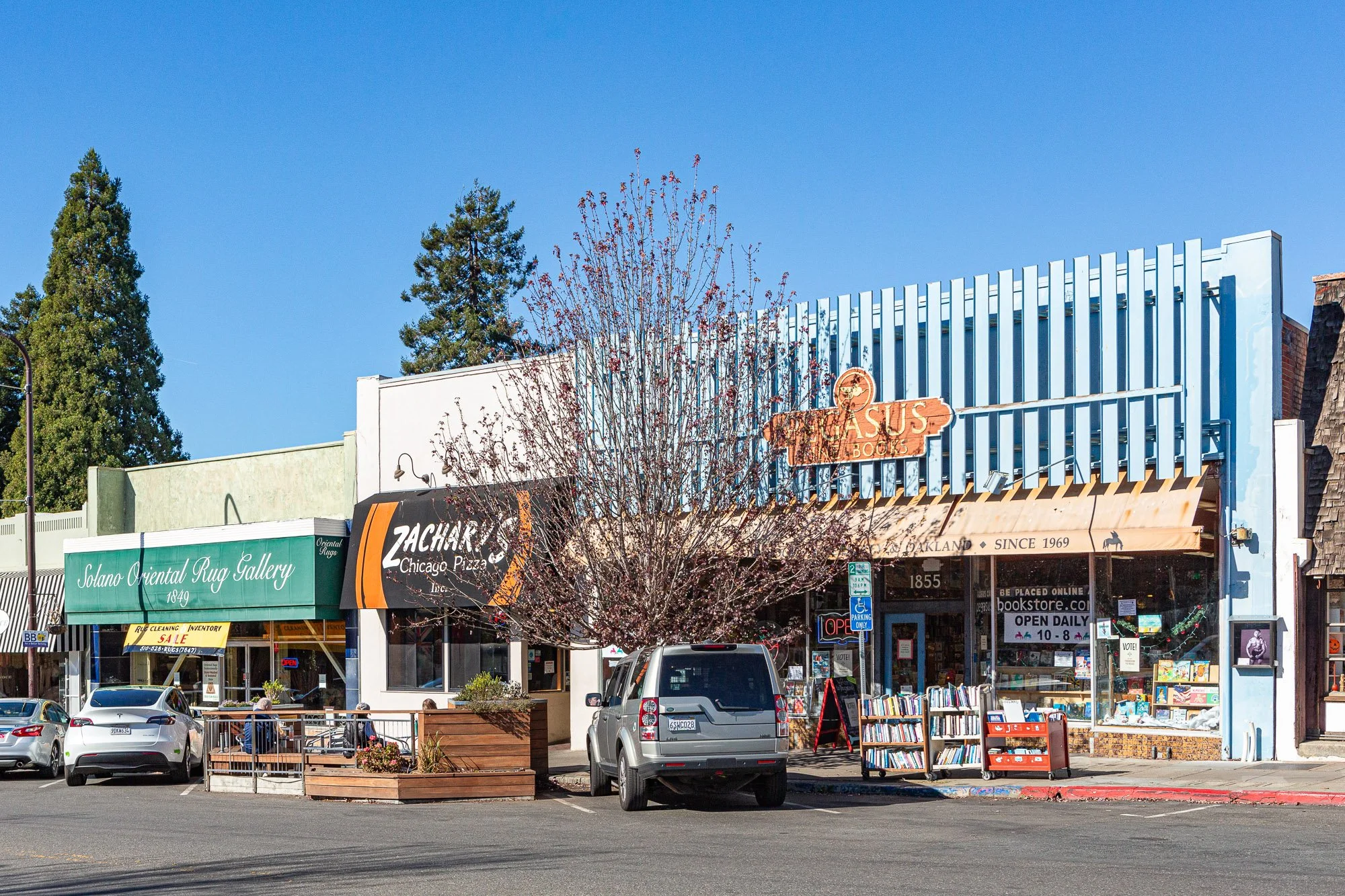 A row of small shops in a downtown area, including Solano Oriental Rug Gallery, Zachary's Chicago Pizza, and a bookstore with a sign that says 'Open Daily 10-8', with parked cars in front and a tree with sparse pink blossoms in the foreground.