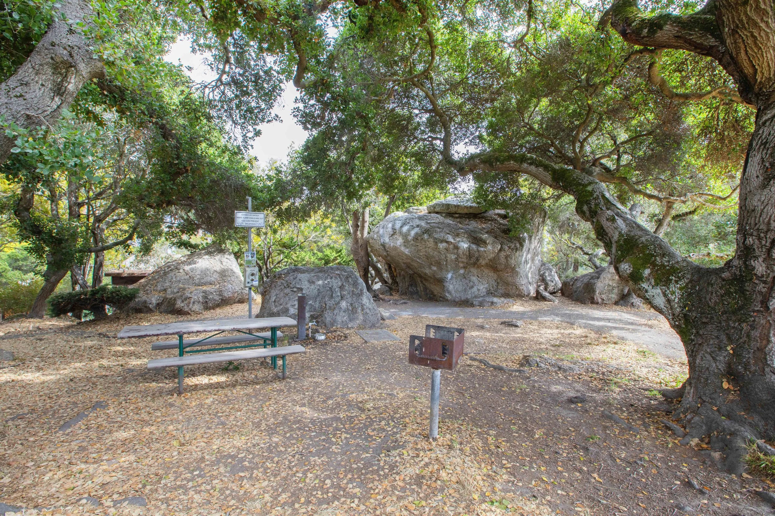 A park with large trees and rocks, outdoor picnic table, and a small metal barbecue grill. The ground is covered with dry leaves, and a sign with a slot machine is visible near the trees.