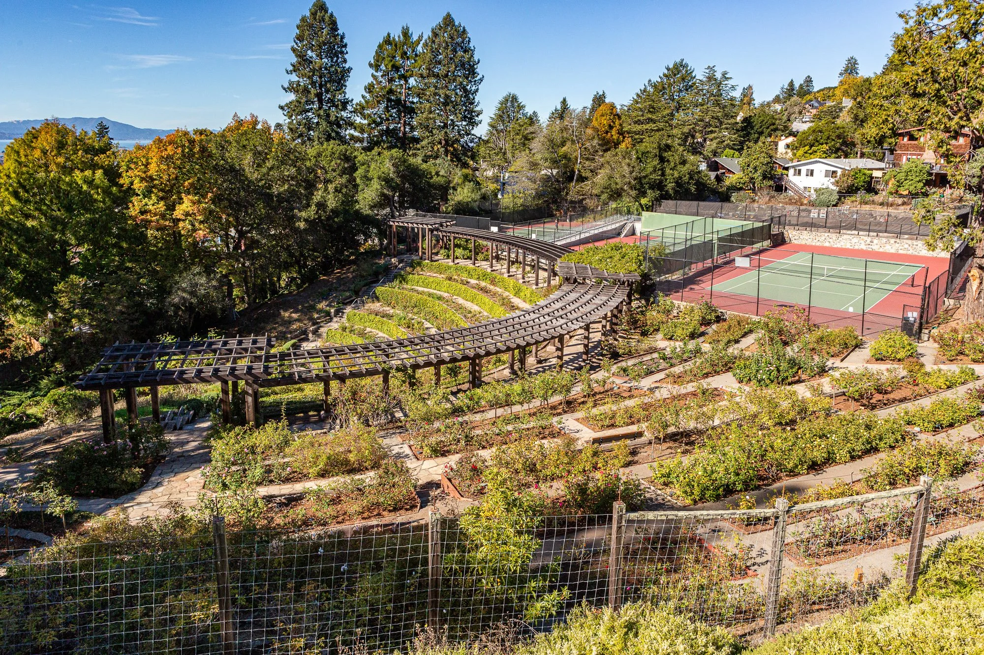 A scenic view of tennis courts surrounded by trees and a garden, with a wooden trellis walkway and a residential neighborhood in the background.