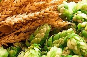Brewing grain and hops used in Palmer Brewing beer
