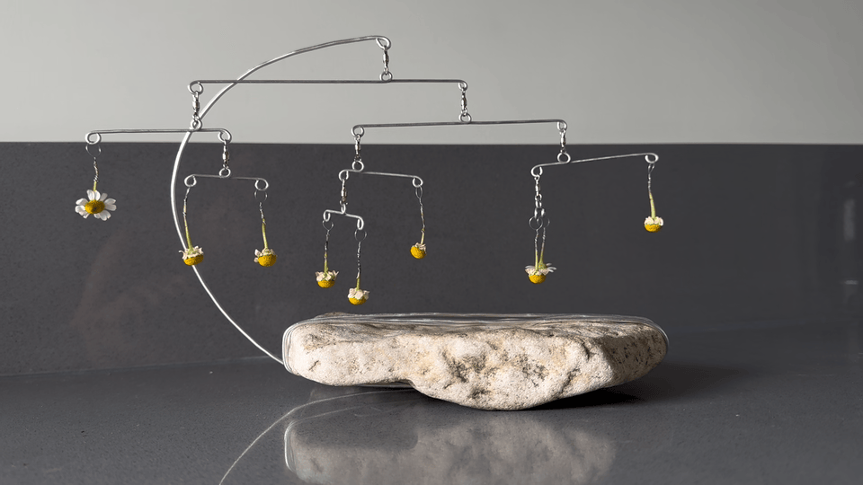 Chamomile and Stone.gif