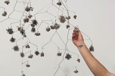 Thistle Bouquets.gif