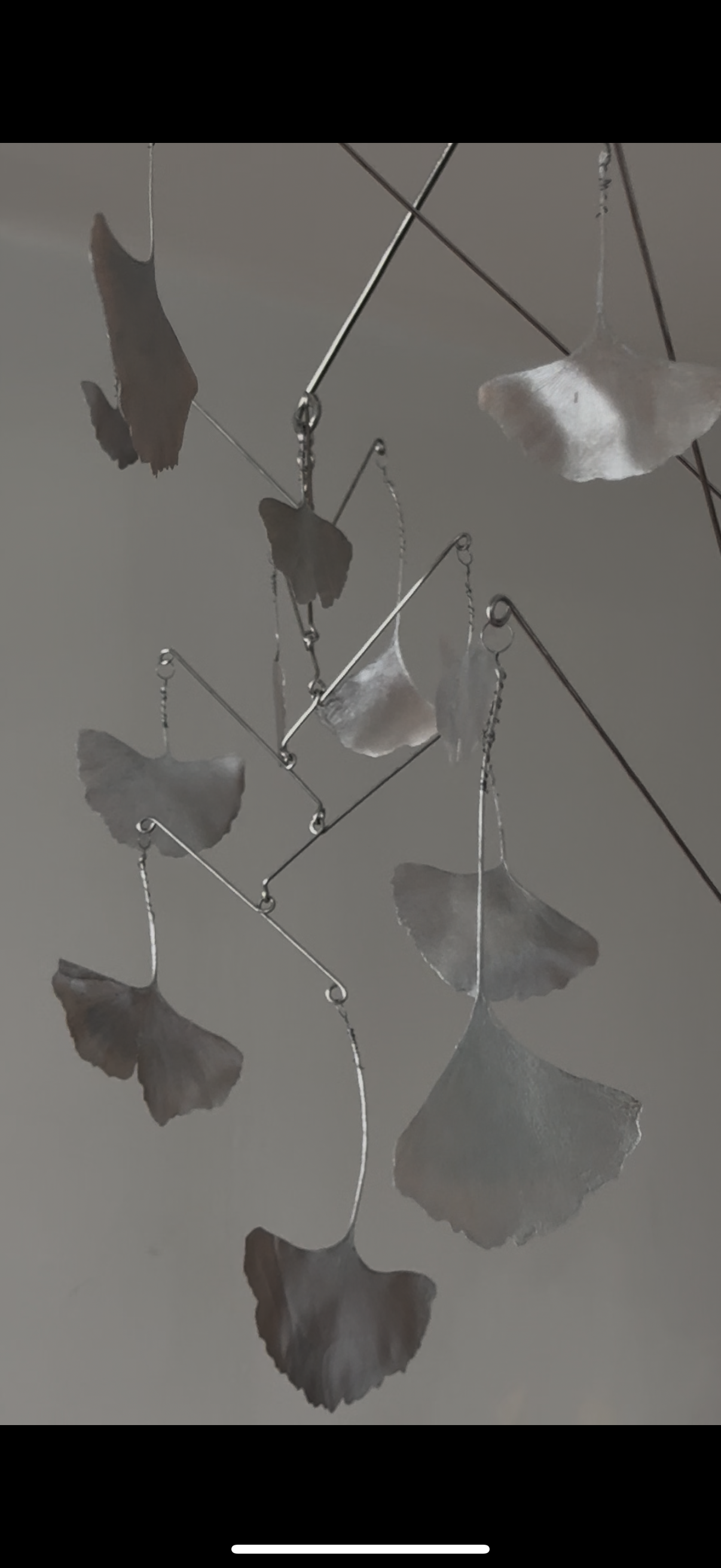 Available for Purchase