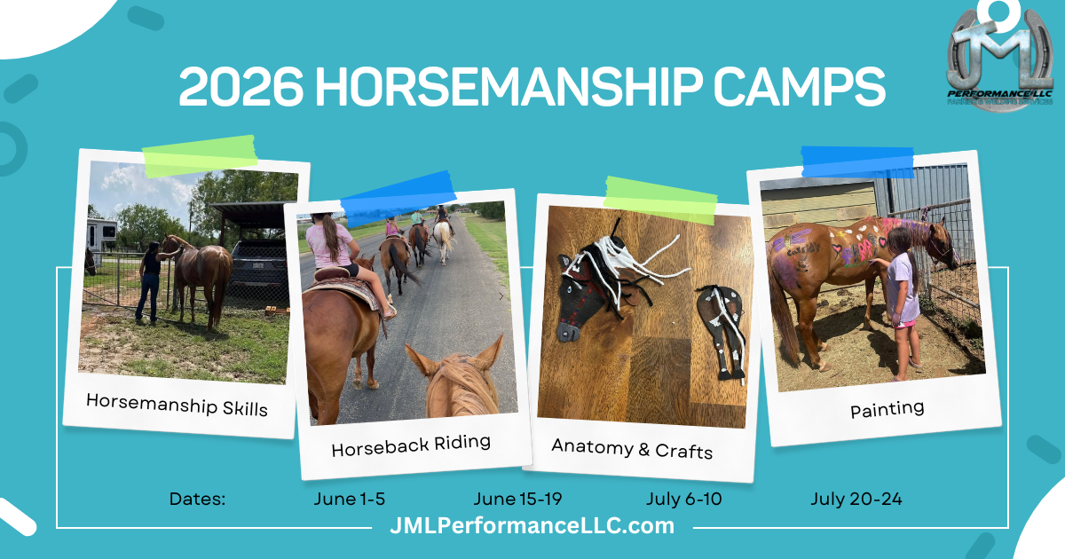 Horsemanship Camp