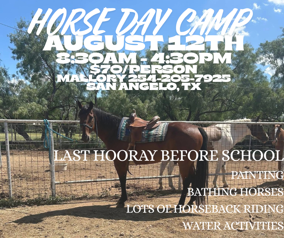 HORSE DAY CAMP-3.png