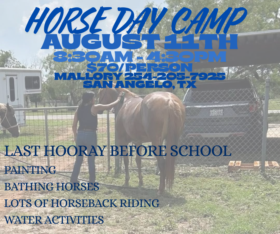HORSE DAY CAMP-4.png