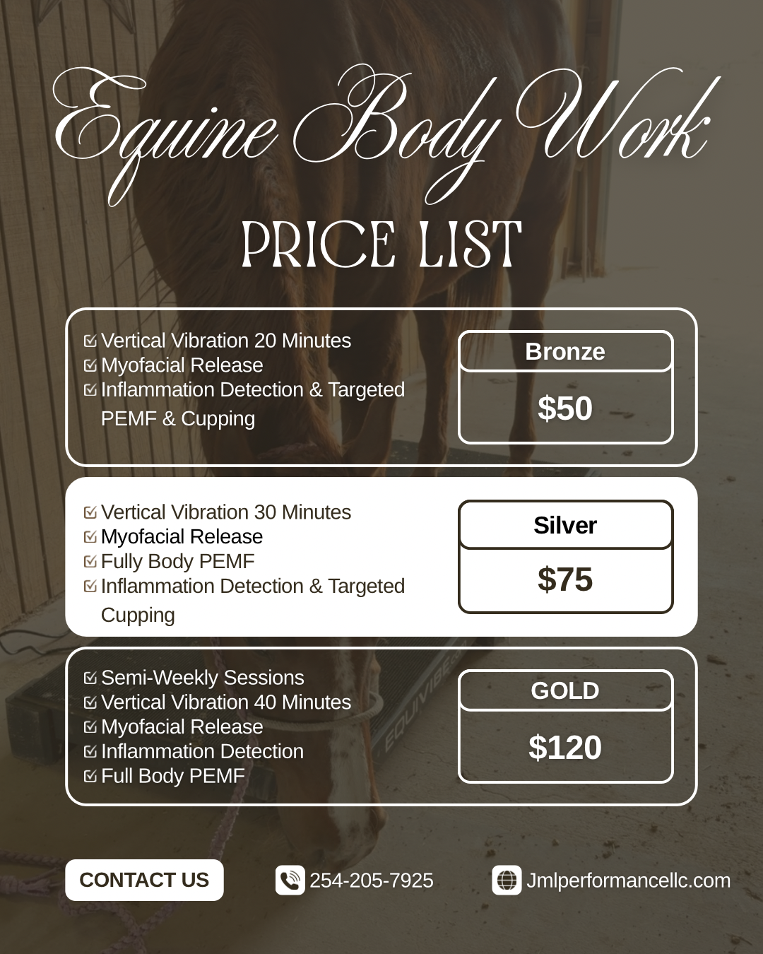 Equine Body Work Sessions