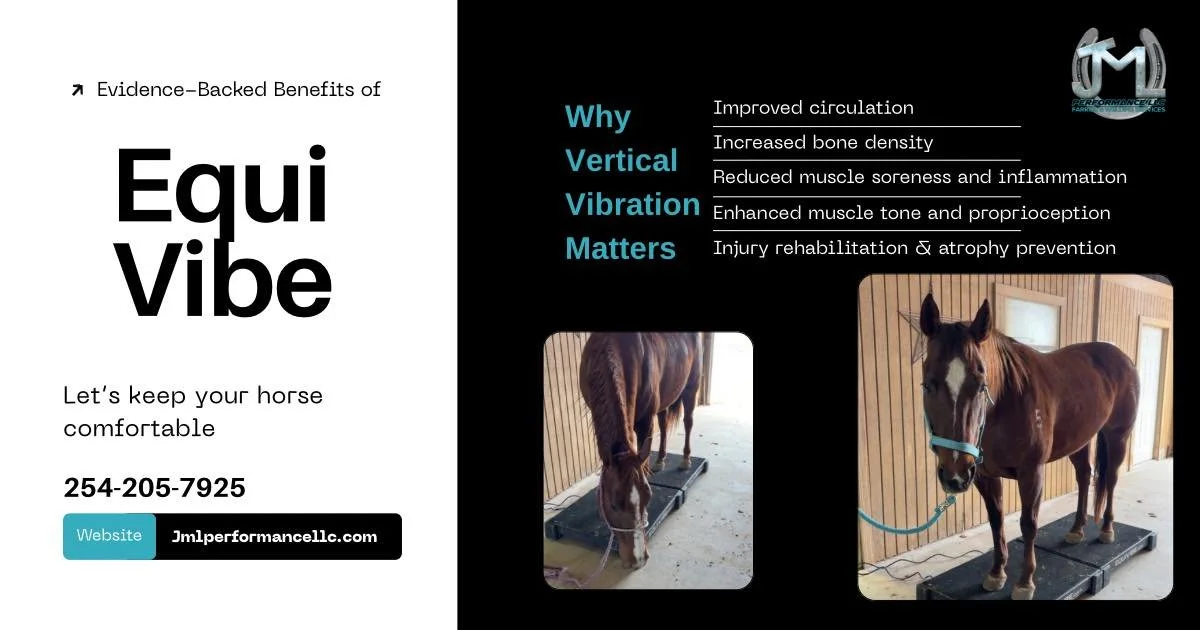 EquiVibe.jpg