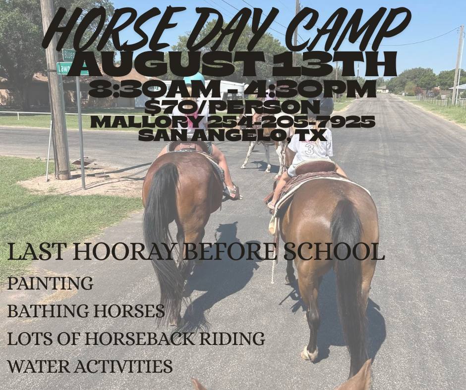 HORSE DAY CAMP-5.png