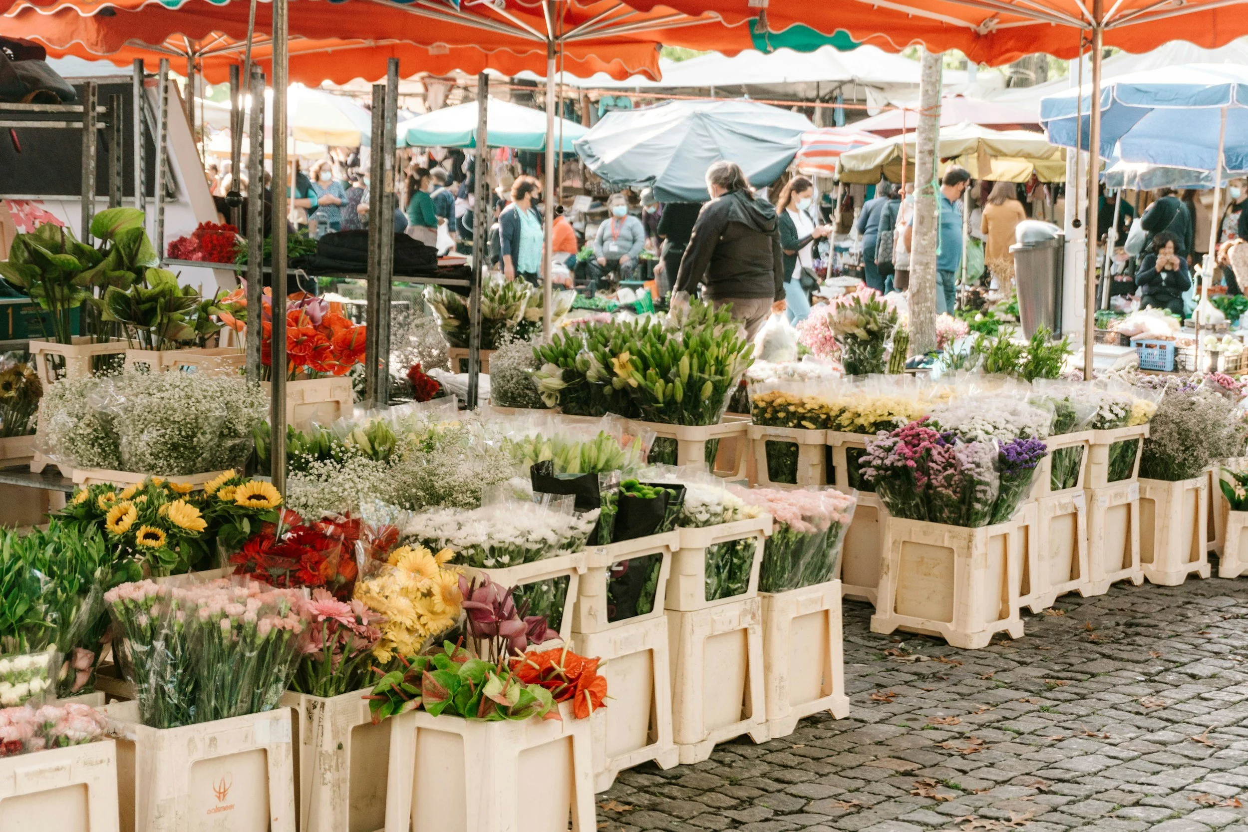 Trade + Prosper Market