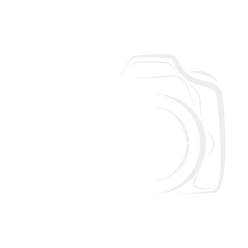 BP  Photogrpahy