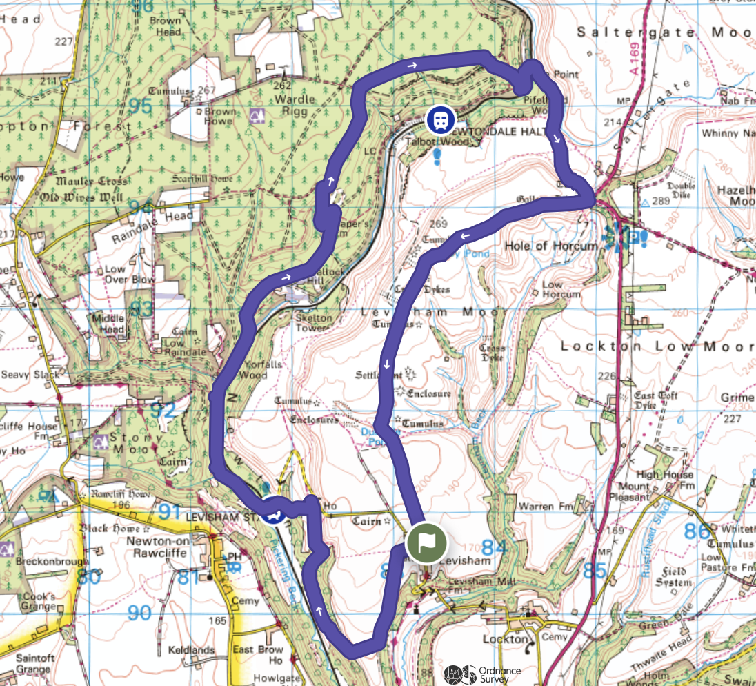 Orienteering map showing a marked outdoor trail, starting point at Levishem and ending near Saltergate Moor, with symbols indicating terrain features, water bodies, and vegetation