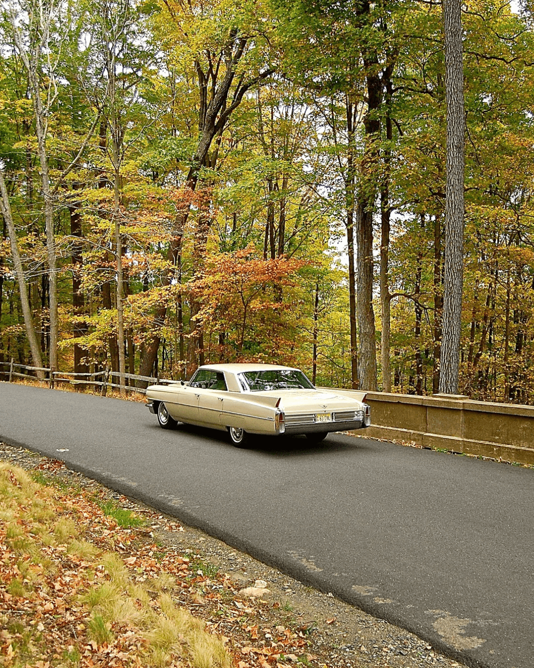A vintage Cadillac car parked on a paved road in a wooded area with autumn foliage.